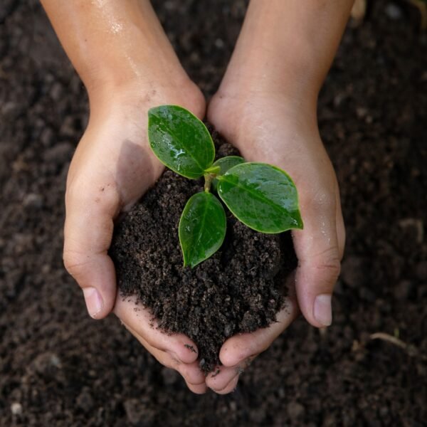 Premium Garden Soil For Plants ₹119.00 – ₹749.00